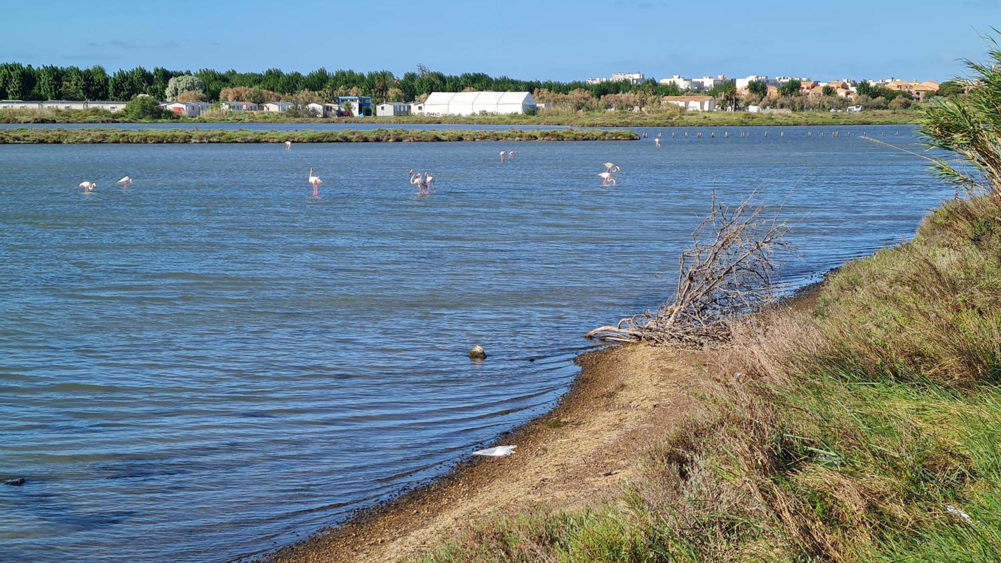 Mobilhome Au Camping Les Salins De La Gardiole Ex Camping Europe Vic-la-Gardiole Εξωτερικό φωτογραφία